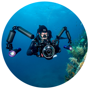 PADI Unterwasser-Videograf Spezialkurs